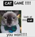 8c32f7facf584f9da124aac3c35edfef