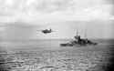 Martlett Warspite