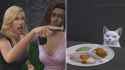 I&#039;ve spent the last 3 hours remaking memes on The Sims. This is my favorite one so far.