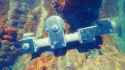 Subnautica 2 - ＂Take a Deep Breath＂ (Gameplay Reveal Teaser) [oK5Nr1VtJ9Q]_snapshot_00.36.558