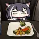 kot doesnt like veggies