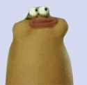 1737171171336552
