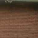 Just_a_wall