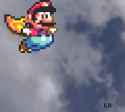 Mario Cape Pound