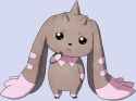 concerned_chocolate_rabbitdog