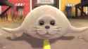 Seal