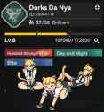 ddn