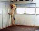 scp_173