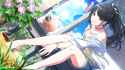buta steam
