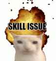 skill_issue