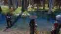 swamp