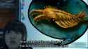 anomalowhatsits