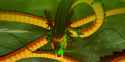 Dragon-Ball-Z-Kakarot-Shenron-Banner