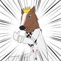 horse b