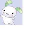 bunnydance