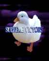 Supreme quacks