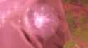 1750956864712699