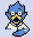 berdlyface