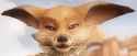him