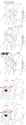 JointPics_20250707_124945
