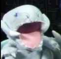 charizard from kantooooooo