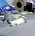 keeplookoutwhiletheyareasleep