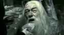 dumble