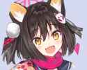 Kitasan Black