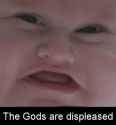 1748100195332880