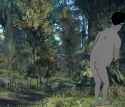 duskwight hill ass