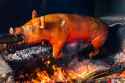 balinese-suckling-pig-on-spit-553394805-5a3315d5842b170037578efd