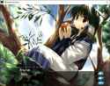 utaware-voice 84 Chuckwalla