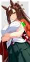 __akitsu_teio_umamusume_drawn_by_reibun_raven1119__sample-6aede634403b10f1c1093e05656e2abb