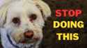stop_talking_about_my_shit