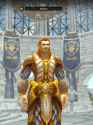 paladin desire