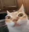 1722740248176615