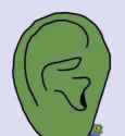 ear
