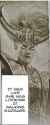 Miao garbage