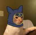 chat_pocontent_mhr