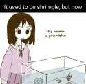 1748576309781732