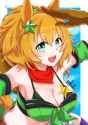 __taiki_shuttle_umamusume_drawn_by_neru_ika__sample-b74118386d0af85d53522a9fd5d7c64e