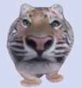 tigerorb-removebg-preview