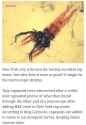 thanks-i-hate-tiny-shrimp-in-tap-water-v0-rzva2h4x0hed1