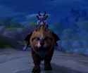 Screenshot_488