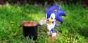 sonbbq