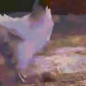 1708035612432837