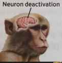 neuron deactivation