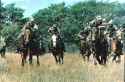 dragoons of poor resolution
