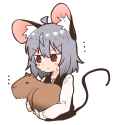 __nazrin_touhou_drawn_by_greenpiecerice__b5fa0222ae1d4dbb77f7d1baabf273f5