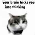 your-brain-tricks-you-into-thinking-your-brain